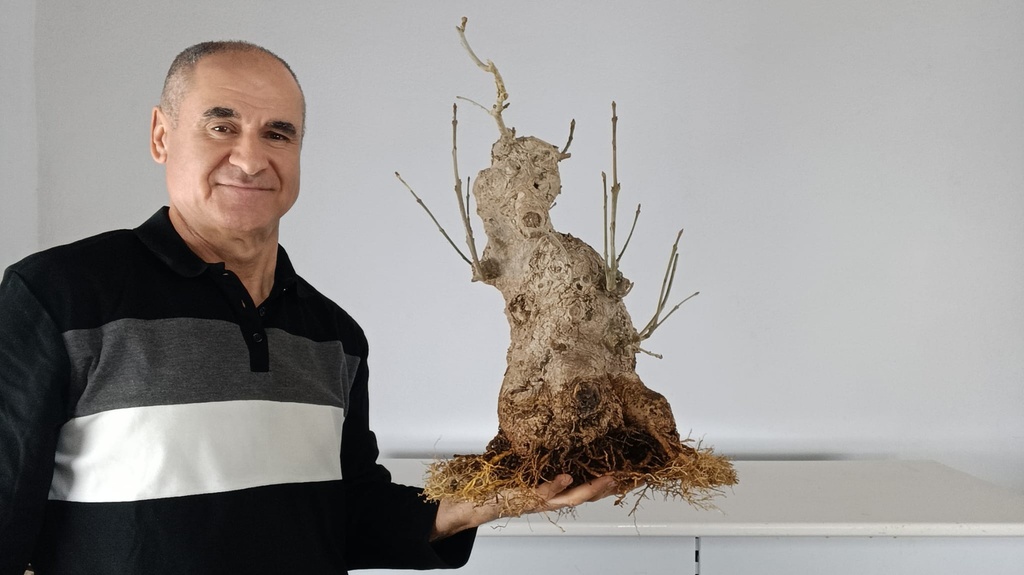 F 1. Fresno 500 euros con envio gratis peninsula.