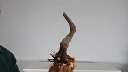 T 9. Tamarix 120 euros con envio gratis peninsula.