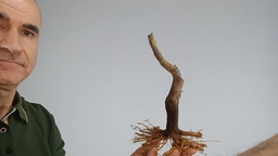 G 9. Granado nejikan 150 euros envio incluido peninsula y Portrugal. Passport 25/00006