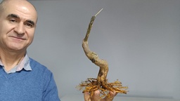 G 26. Granado nejikan 175 euros con envio gratis peninsula.